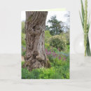 Buscar ceniza tarjetas Árbol