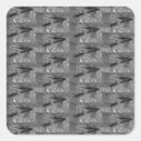 Buscar señuelos pegatinas Trucha