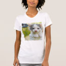 Buscar ojos mujer ropa Lindo