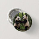 Buscar panda chapas Bambú