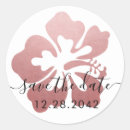 Buscar haw Rosa