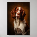 Buscar setter irlandés posters Cachorro