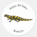 Buscar salamandra pegatinas Reptil