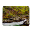 Buscar arroyo rectangulares imanes Nadie