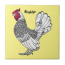 Buscar pollos azulejos 7 º ave