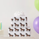 Buscar caballo lindo papel de regalo Para todos