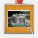 Buscar jaulas adornos Puedo tengo cheezburger