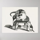 Buscar grandes felinos posters Gatitos