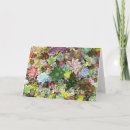 Buscar planta suculenta tarjetas Para ella