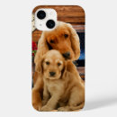 Buscar recuperación fundas Adorable