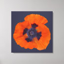 Buscar amapola lienzos Naranja