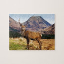 Buscar montaña escocia puzzles Animal