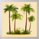 Buscar palmeras posters Árboles