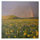 Buscar espectacular azulejos Nadie