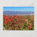 Buscar ronald postales California