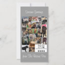 Buscar rescates tarjetas Animales