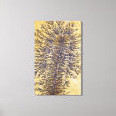 Buscar elemento químico lienzos Química