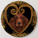 Buscar setter accesorios Setter rojo irish