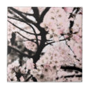 Buscar manipulación azulejos Rosa