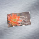 Buscar cactus del desierto tarjetas de visita Botánica