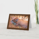Buscar granjero de cerdo tarjetas Fotografía