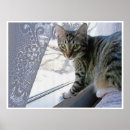 Buscar baby kitten arte Kitty