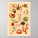 Buscar colección arte Ilustracion