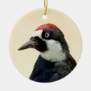 Buscar bellota adornos Pájaro