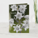 Buscar para abuela tarjetas de condolencias Para ella