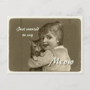 Buscar miaou Deslumbrar