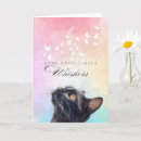 Buscar pérdida de un gato tarjetas Para todos