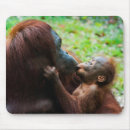 Buscar animales la selva de alfombrillas de raton Bebé