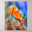 Buscar seahorse posters Acuático