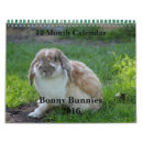 Buscar conejo calendarios Lindos