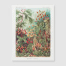 Buscar flores antiguas postales Vintage