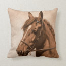 Buscar amazon cojines Caballo