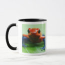 Buscar reptil tazas Fauna