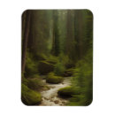 Buscar arroyo rectangulares imanes Naturaleza