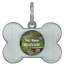 Buscar paseo mascotas Para mascotas