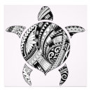 Buscar maorí fotografía Maori