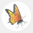 Buscar mariposa monarca pegatinas Alas