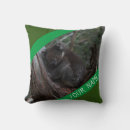 Buscar koala linda cojines Animal