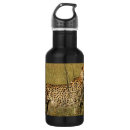 Buscar felines agua botellas Guepardo