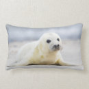 Buscar foca cojines Nieve