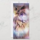 Buscar búhos divertidos postales Aves