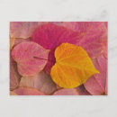 Buscar redbud postales Otoño