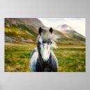 Buscar caballo salvaje posters Gris