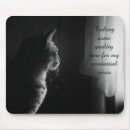 Buscar noir fotografía Gatos