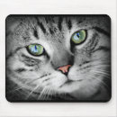 Buscar gatito gris alfombrillas de raton 9 º gata