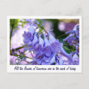 Buscar jacaranda tarjetas Flores